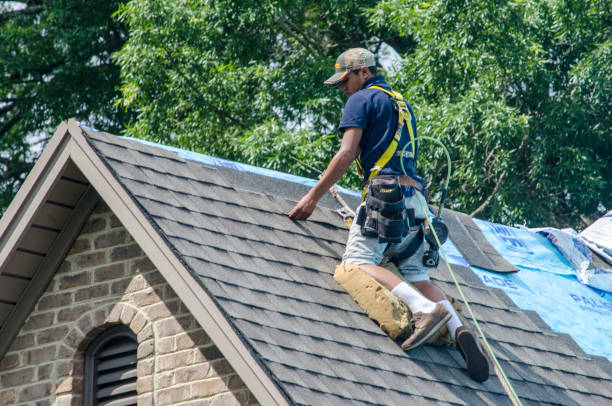 Quick and Trustworthy Emergency Roof Repair Services in Haliimaile, HI